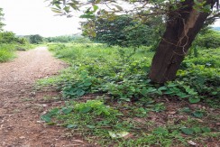 Lot for Sale in Coron, Palawan