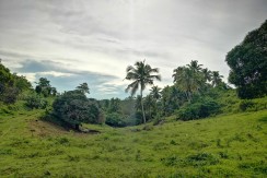 Farmlot for Sale in  Lusaran, Cebu City