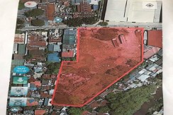 Lot for Sale in Paknaan Mandaue City