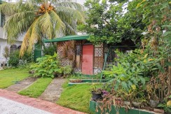 House and Lot in Banawa Salvador St. Cebu City