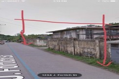 LOT FOR SALE IN BANAWA CEBU CITY