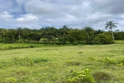 Greenfield Farms For Sale in Sab-a, San Remigio, Cebu,